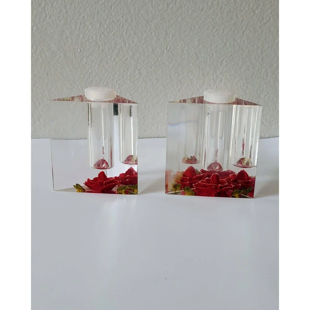 Vintage Clear Lucite Salt and Pepper Shakers Reverse Carved Red Roses Bircraft